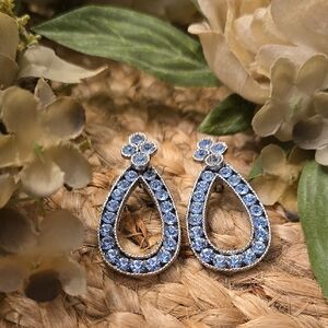 Elegant Blue Crystal Teardrop Earrings